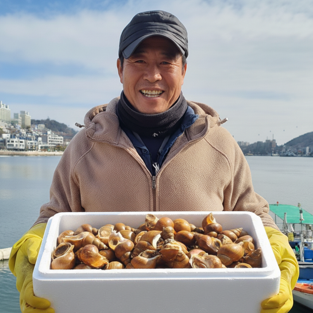 [상위1%생산자직송] 동해 포항 구룡포 생물 백고동 백골뱅이 29,950원