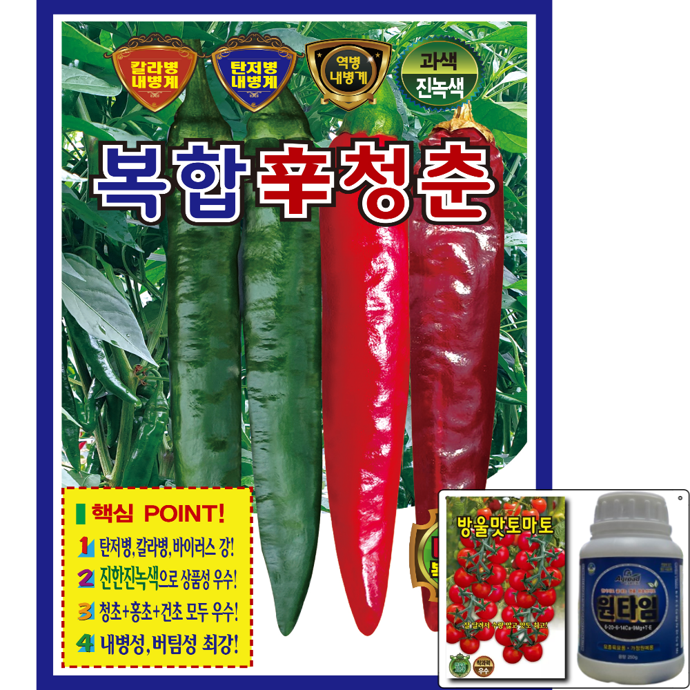 KS종묘 복합신청춘 500립 복합 내병계 조생 터널 조생 고추 씨앗 숙기 빠름 극대과 KS, 1개 80,000원