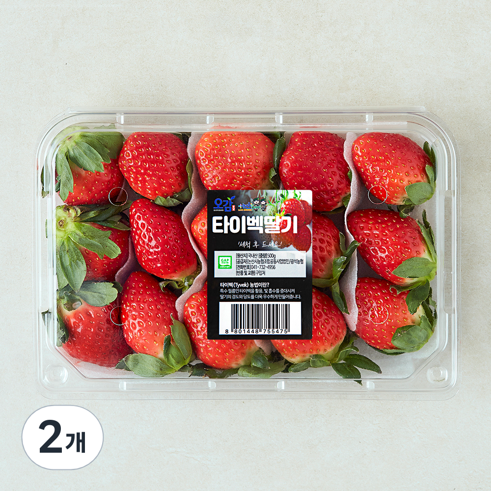 [로켓프레시] 충남오감 타이벡딸기 12,570원