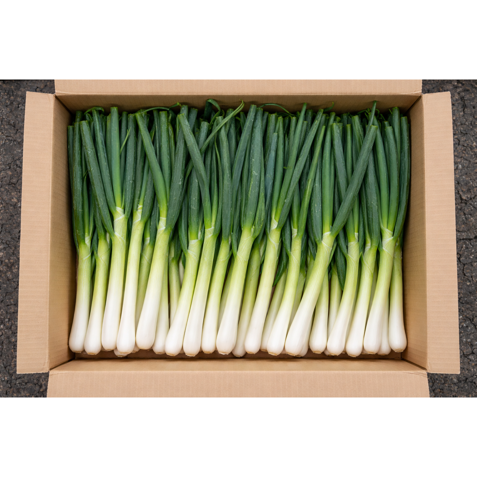 국내산 신선한 손질 대파, 1개, 10kg 23,800원