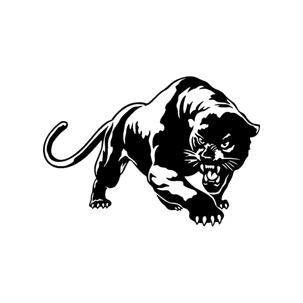 자동차포인트 00073 제규어 튜닝스티커(M), 화이트, 1개 8,900원