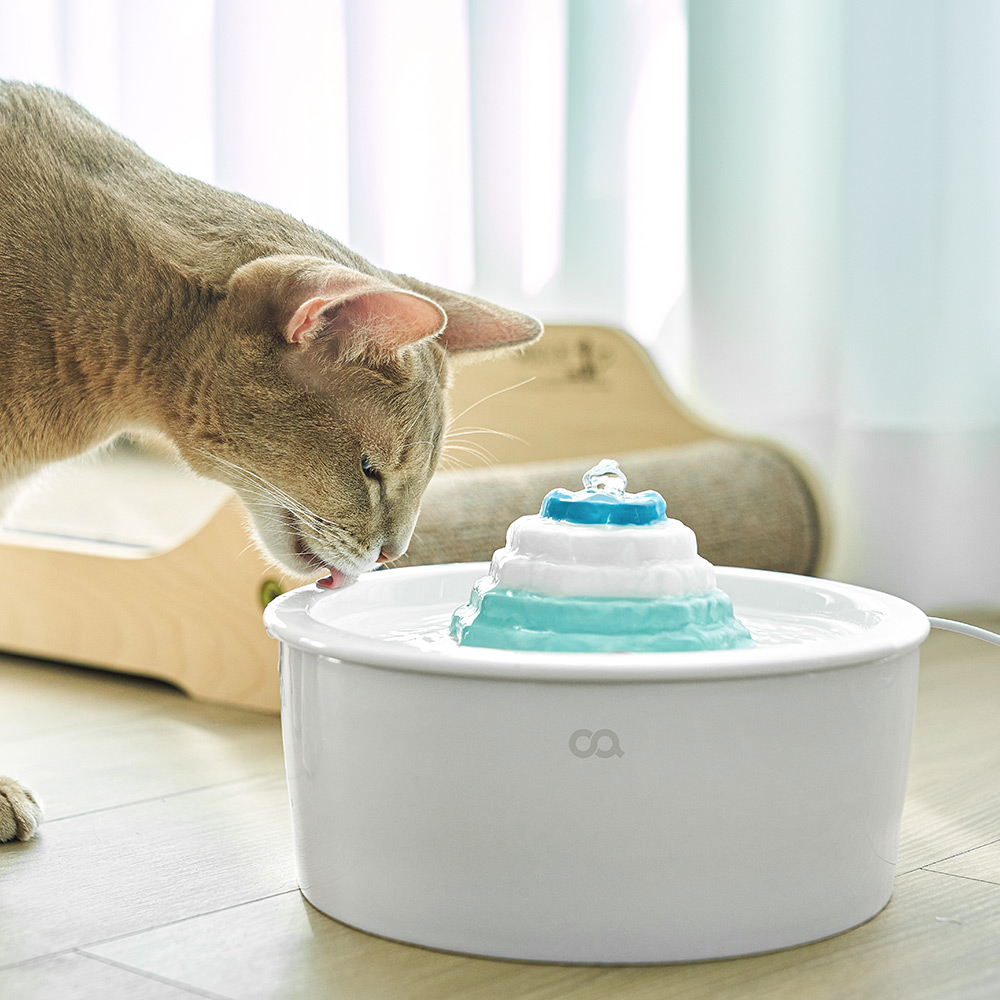 오아 이리와 펫 자동 급수기 1.6L, OWS-002WH, 화이트, 1개 60,000원