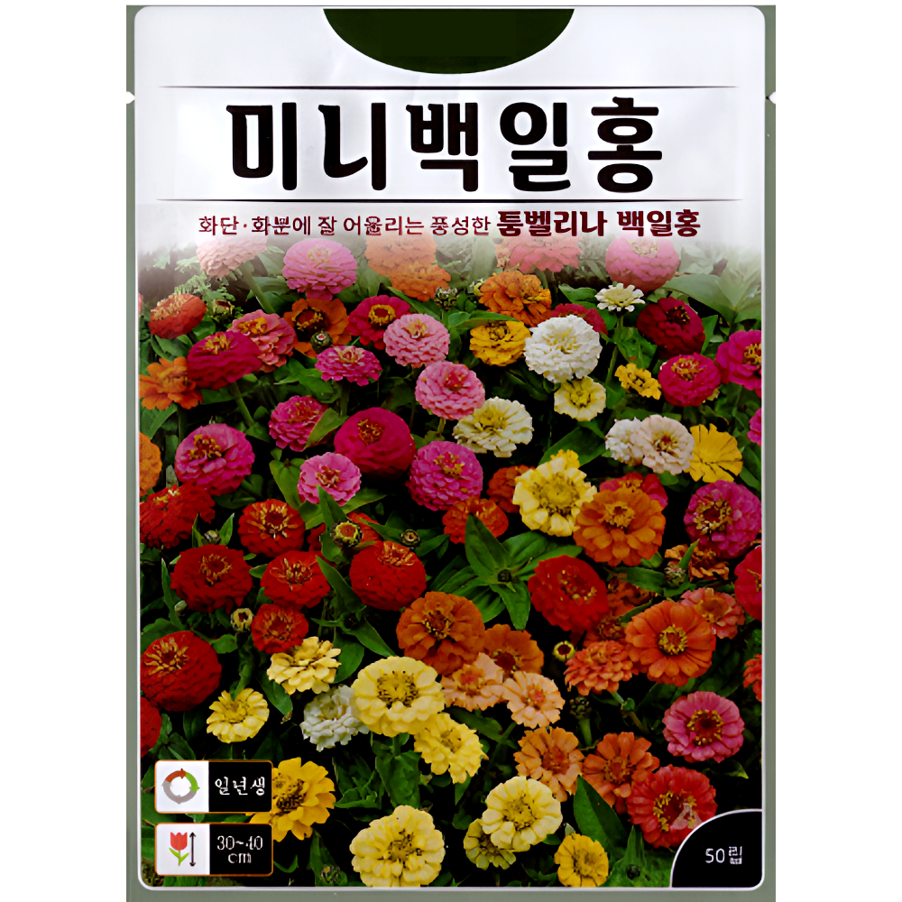 KS종묘 미니 백일홍 씨앗 50립 혼합색 ks, 1개 3,000원