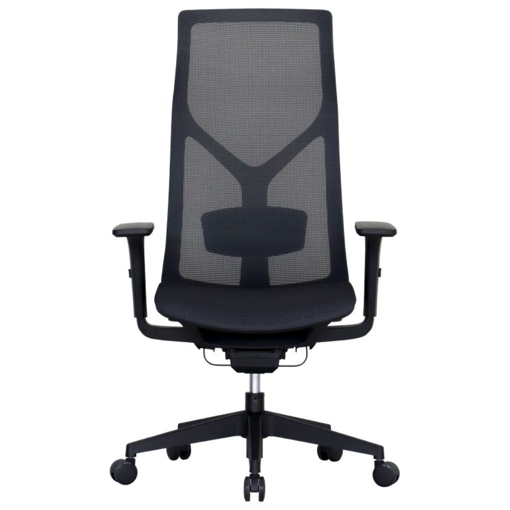 올즈 카이든 PRO 풀메쉬 컴퓨터의자, 블랙 245,000원