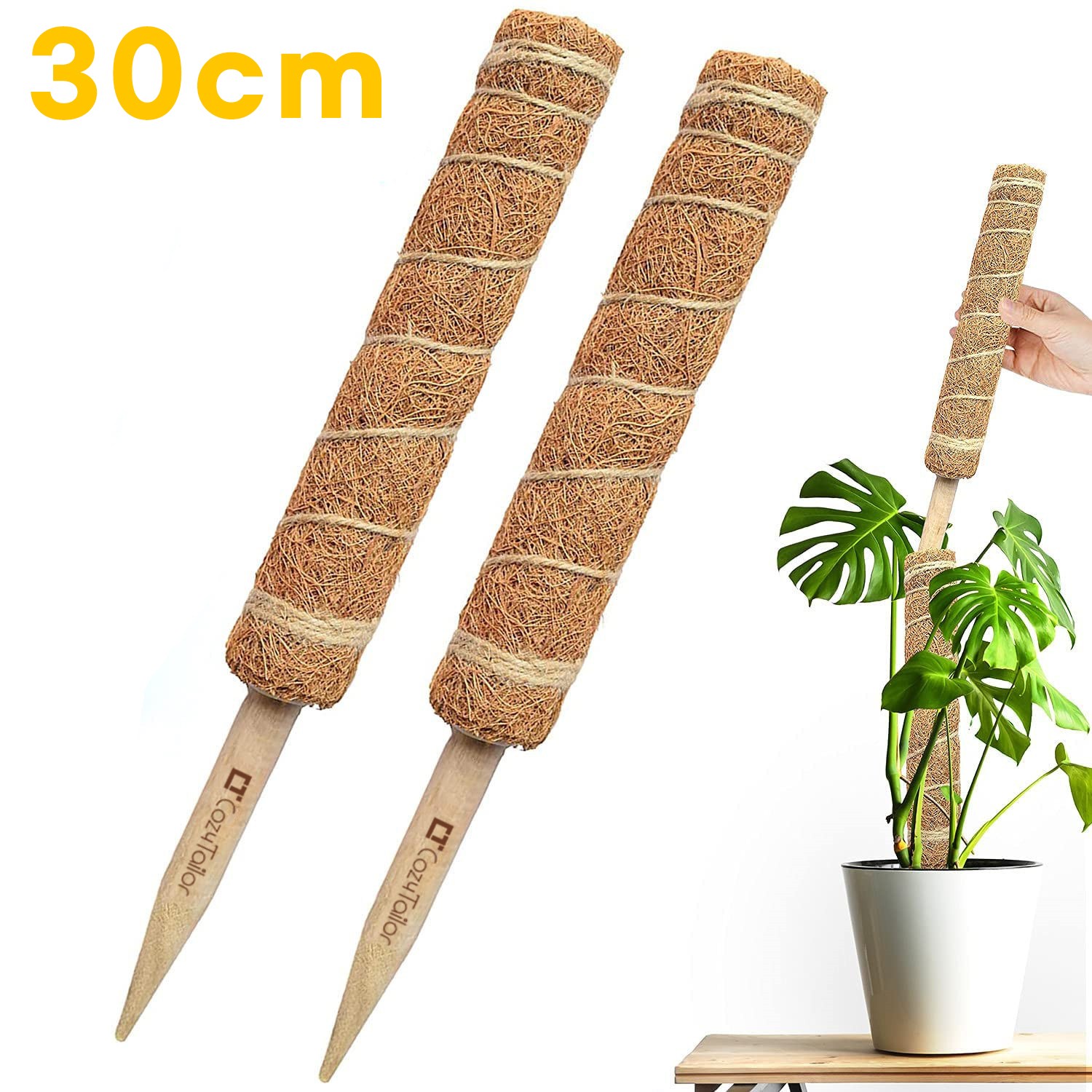 코지테일러 수태봉 몬스테라 연결형 식물 지지대 넝쿨 화분 코코봉 B84 99,000원