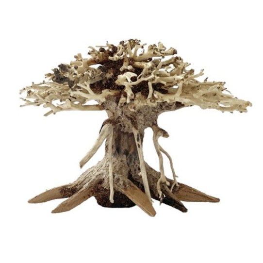 KD 모스트리 분재 유목 수조장식 59,800원