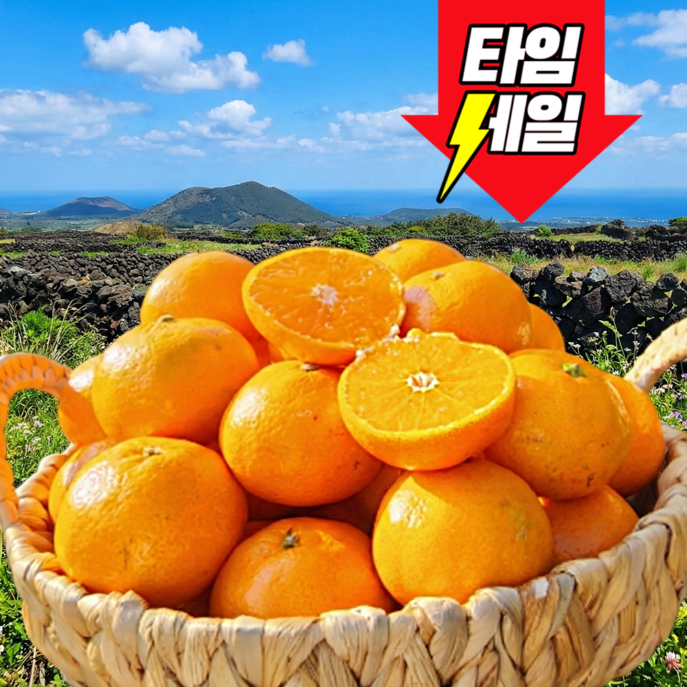 [마지막초특가] 딱100분한정 과즙폭발 제주 천혜향 15,800원