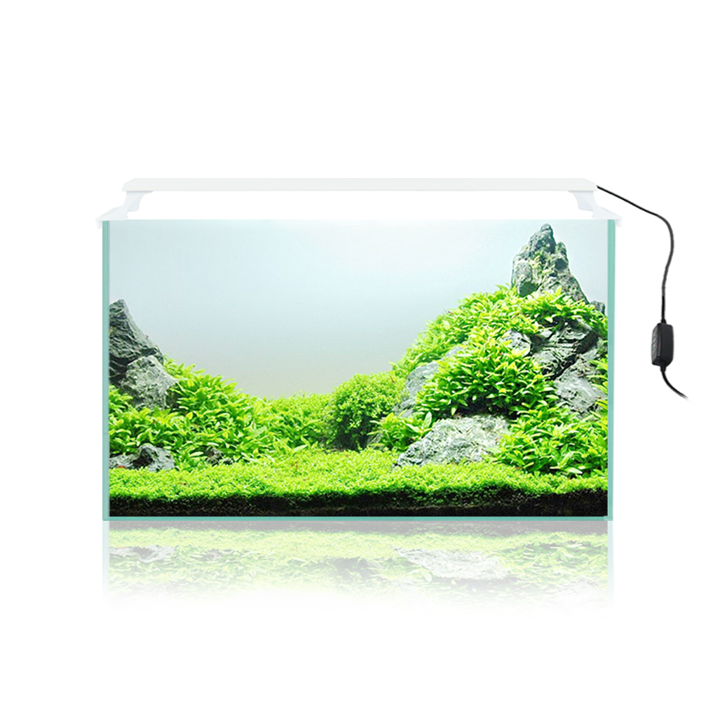 모비딕 2자광폭 유리어항 패키지 100,000원