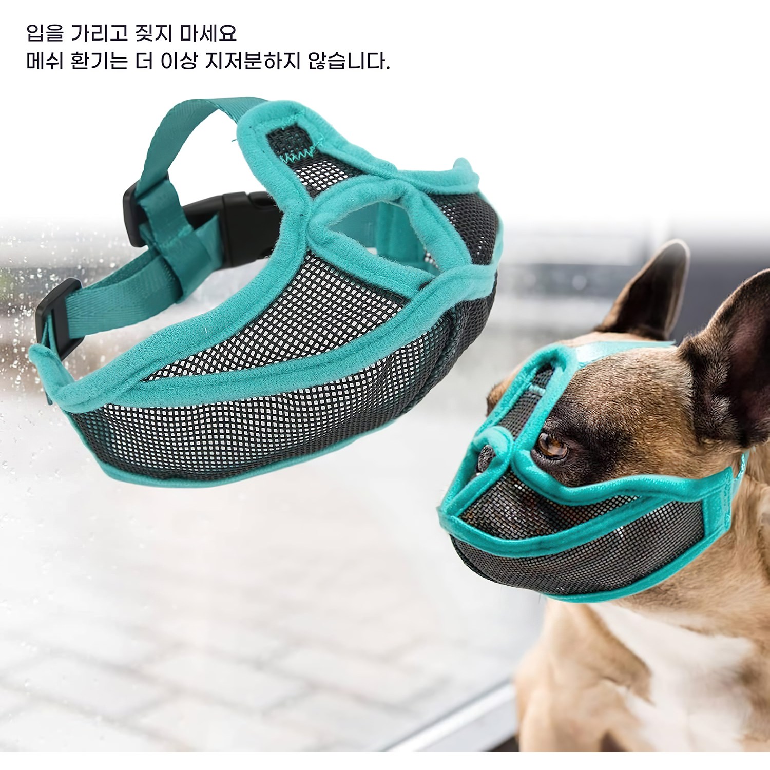 Topsun 단코견용 방음 방어용 입가리개, 통기성 단코견용 반려동물 입가리개는 불독에 적합합니다., 녹색 6,000원