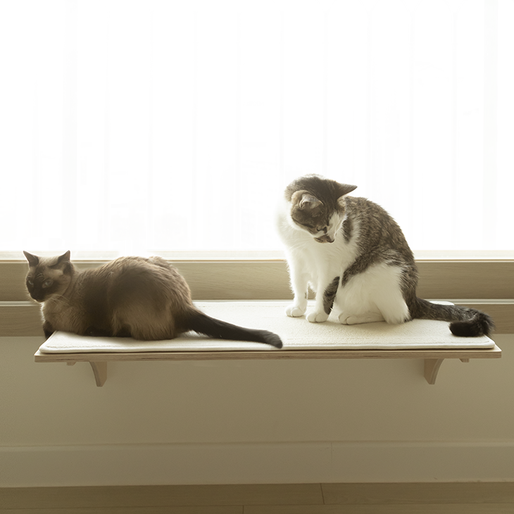 오늘애펫 고양이 창틀선반 80cm 초대형 와이드 스크래처 보드 50,800원