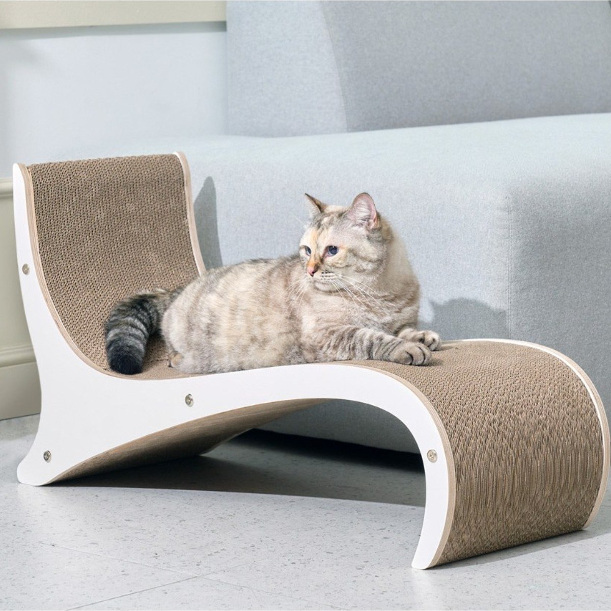 뽀떼 릴렉스 스크래쳐_R7, 1개, 화이트 47,000원