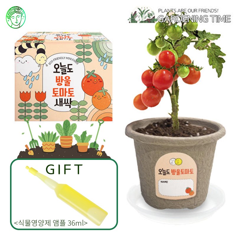 [식물영양제증정]오늘도 새싹 - 지피포트 식물키우기 4종,택1 / 강낭콩 방울토마토 봉선화 미니해바라기 모종키우기 원예체험 재배 2,800원