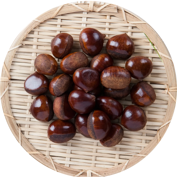 25년산 갓수확 햇밤 부여밤  대밤 국산밤 무칼집밤 굿뜨래 밤 10,900원