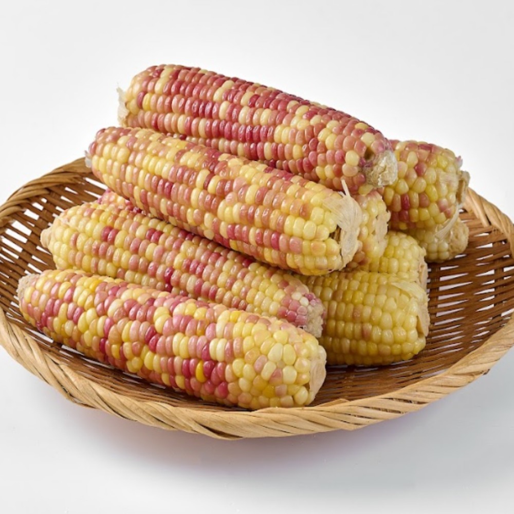 [타임초특가세일] 홍찰옥수수 맛있는 쫀득한 냉동옥수수, 15개, 왕특대 23,900원