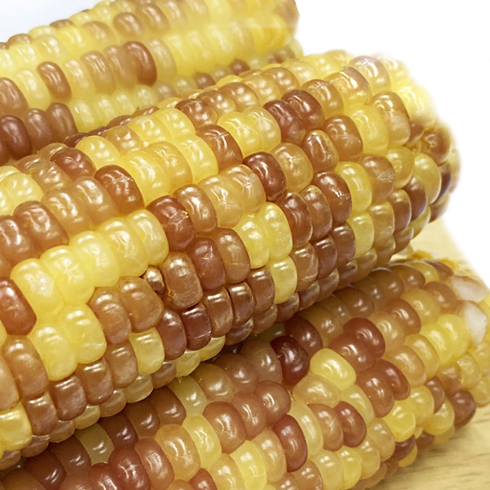 진생마트 쫀득쫀득 찰옥수수 벌크 홍찰 20개, 170g내외, 20개 21,900원