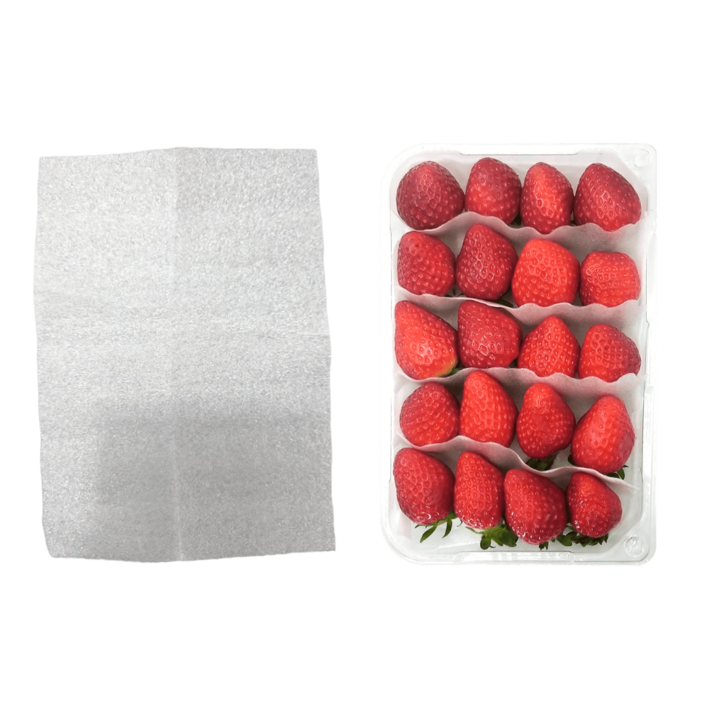 무지개상사 1T 1mm 딸기 과일 발포지 시트 토이론 재단 완충재 포장재 PE SHEET, 5000개, 화이트 173,880원