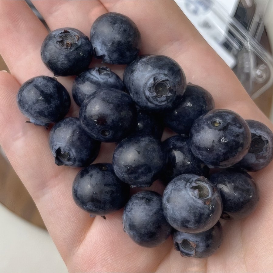 생블루베리 125g x 6팩 새콤달콤 48,000원