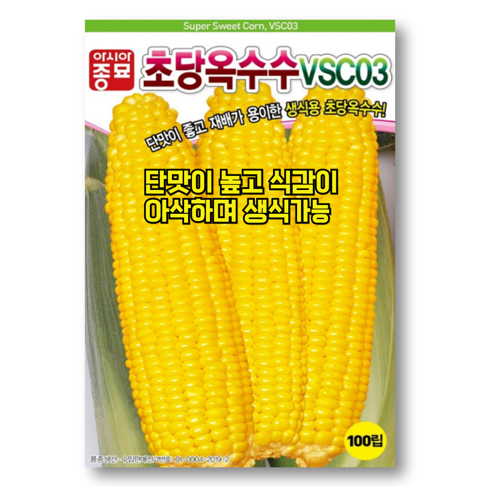 옥수수 씨앗 (100립) 초당 아삭한 식감 생식 단맛 좋은 옥수수 종자 씨 6,590원