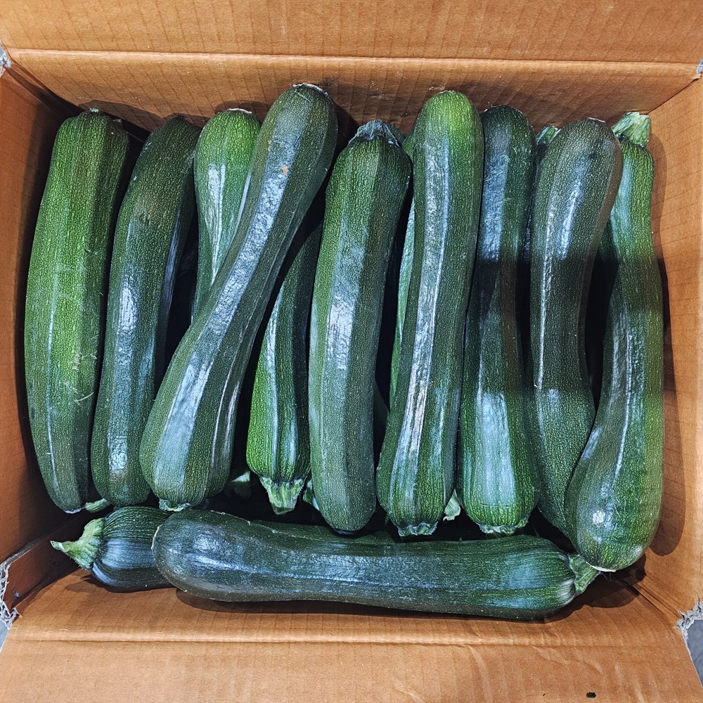 클릭마켓 국내산 쥬키니호박 못난이 주키니호박, 1박스, 상 1kg 6,800원
