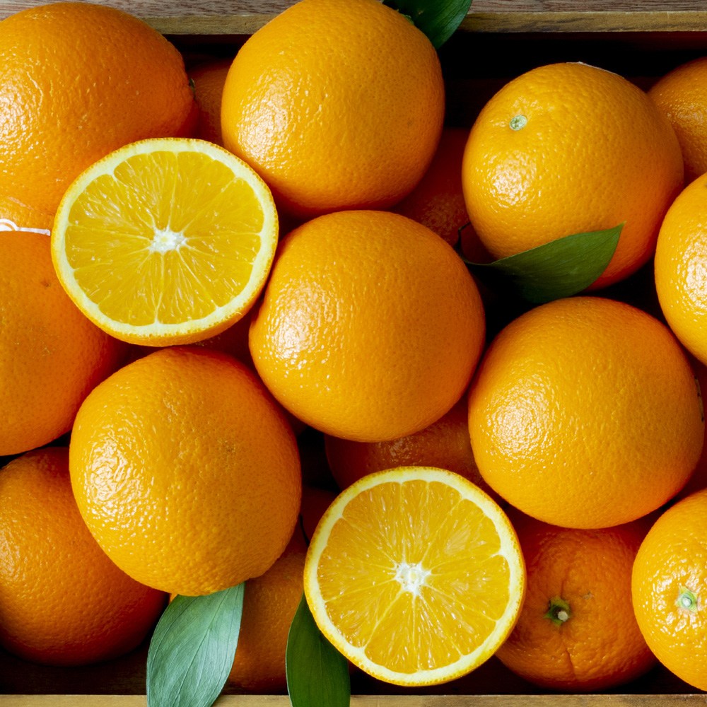 네이블 오렌지 63,750원