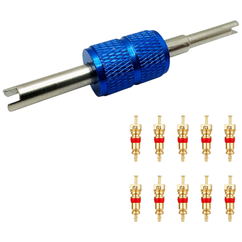 에이치 스토리 자동차 밸브코어 10p + 2in1 전용 드라이버 수리 세트, 블루, 1세트 7,900원