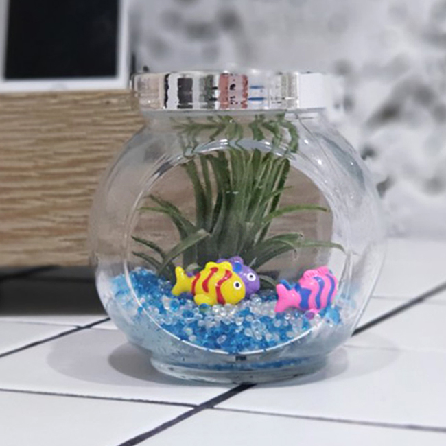 미미네아쿠아 틸란 반원형 물고기 세트 - 공기정화 피규어 이오난사 틸란드시아 8,910원