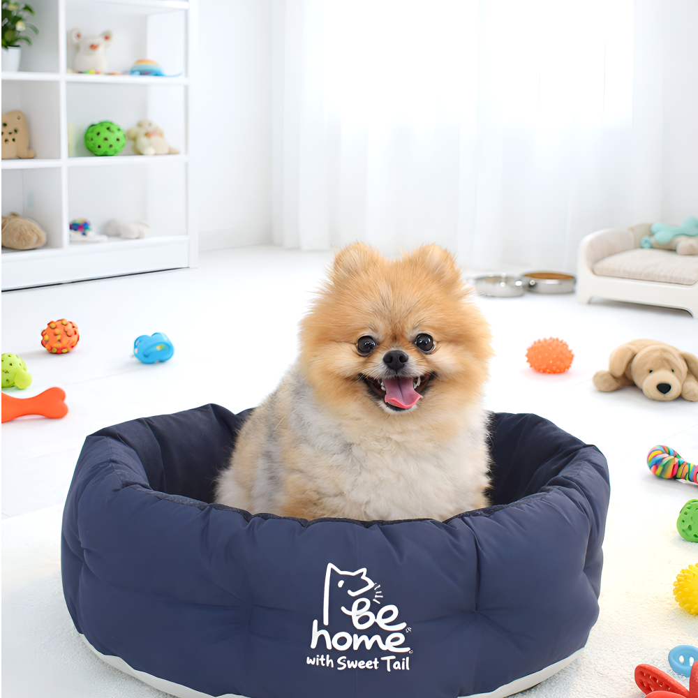 [스윗테일] 국내제조 핸드메이드 강아지하우스 팔각방석 43,120원