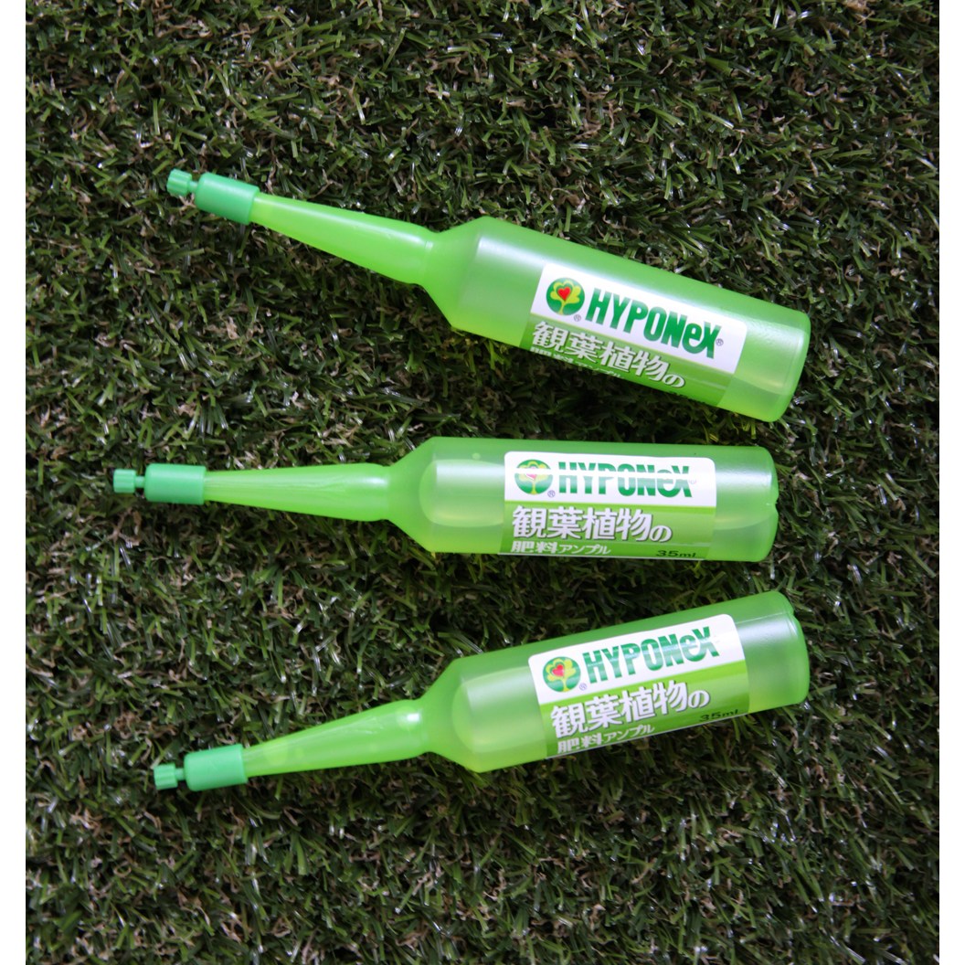 세경팜 하이포넥스 관엽식물 녹색앰플 낱개 1,200원
