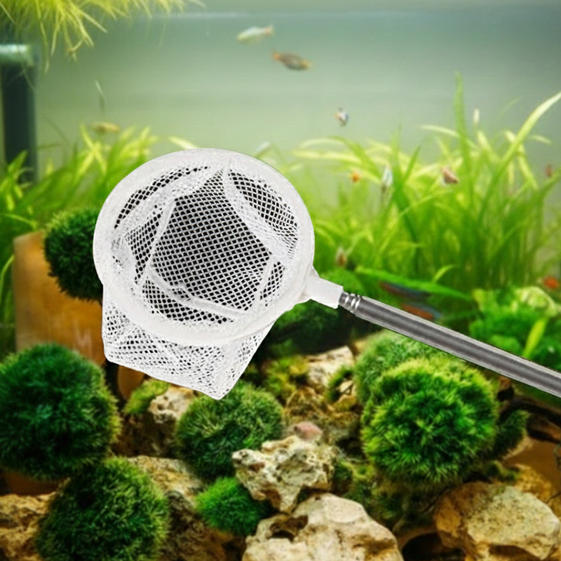 레몽크리프 수족관 스테인리스 스틸 3D 새우 어항뜰채 화이트, 1개 3,750원