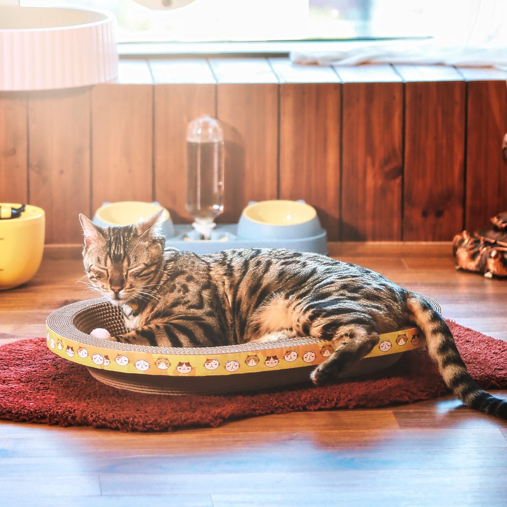 냥이마트 튼튼하고 아늑한 고양이 타원형 스크래쳐 대형 쇼파 침대, 혼합색상, 1개 11,900원