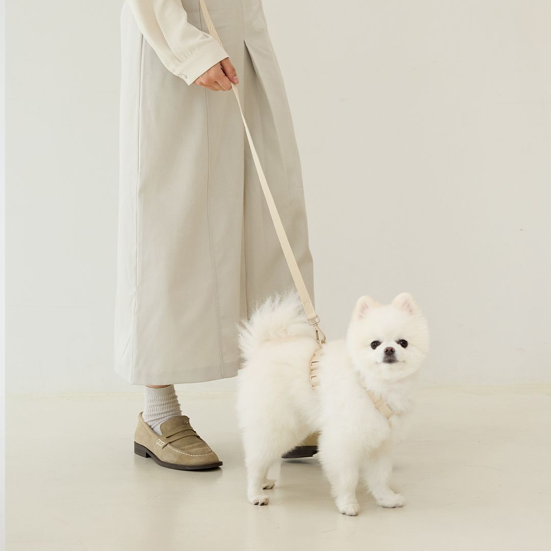 펫프렌즈 뮤트 강아지 H 하네스 + 핸즈프리 리드줄 세트, 아이보리, 1세트 16,290원