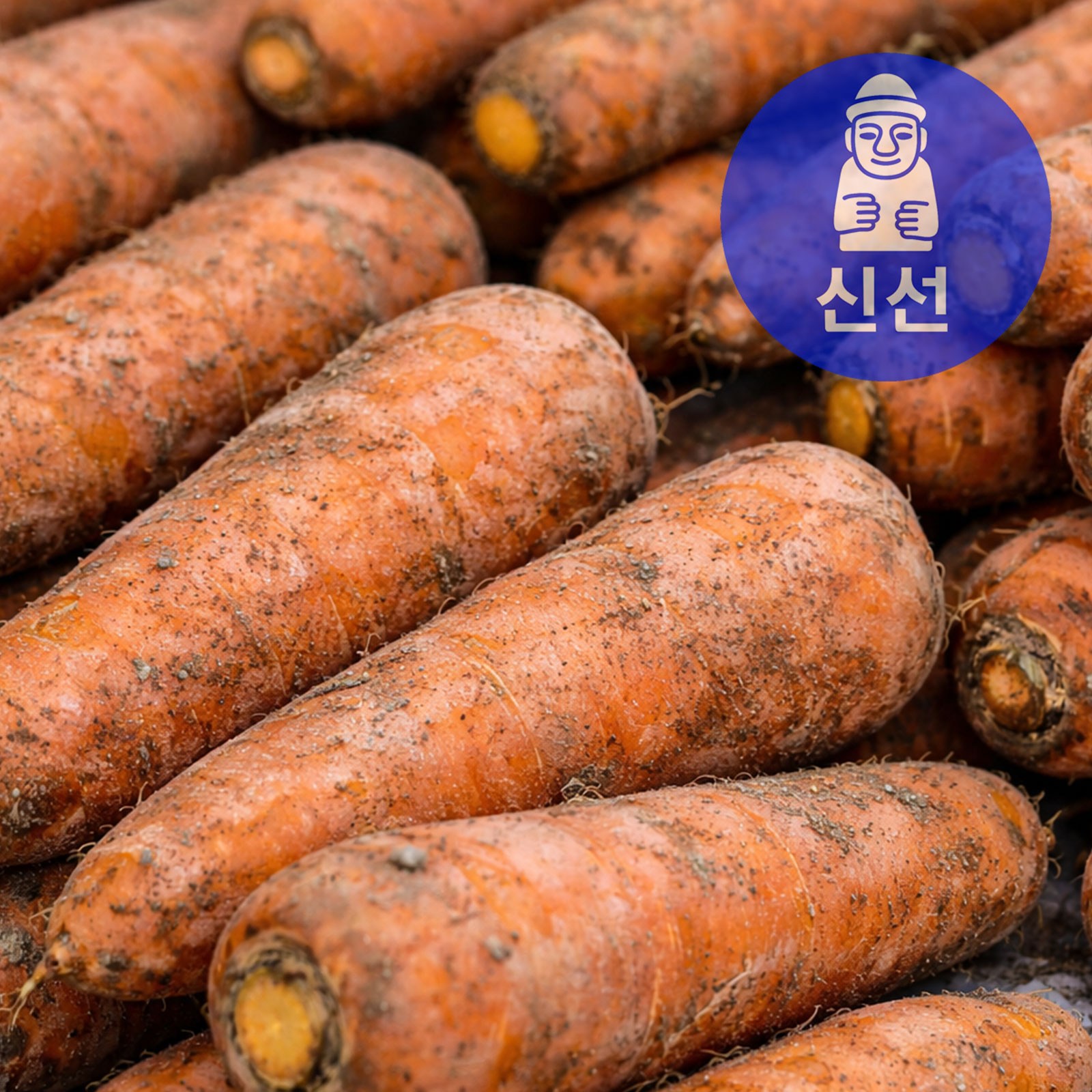 제주신선 구좌 당근 산지직송 재구매율1위 12,410원