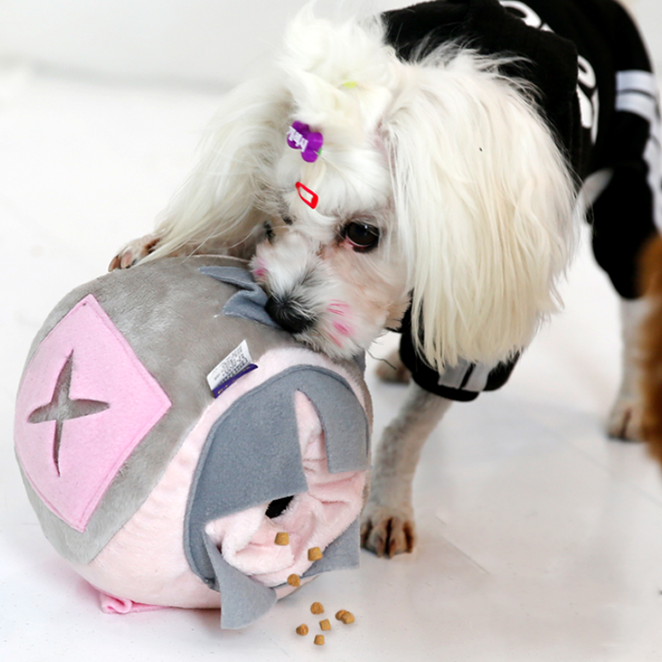 더플래 노즈워크 펫 워킹볼 16,900원