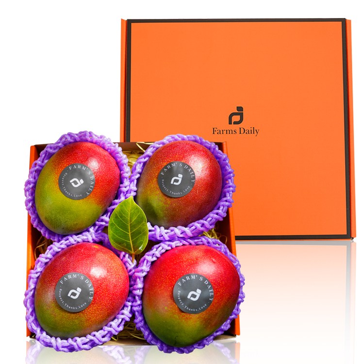 명품 과일선물 당일발송 항공직송 망고 프리미엄 고당도 애플망고 쁘띠 선물세트 (4입 2kg 내외), 1개 41,900원