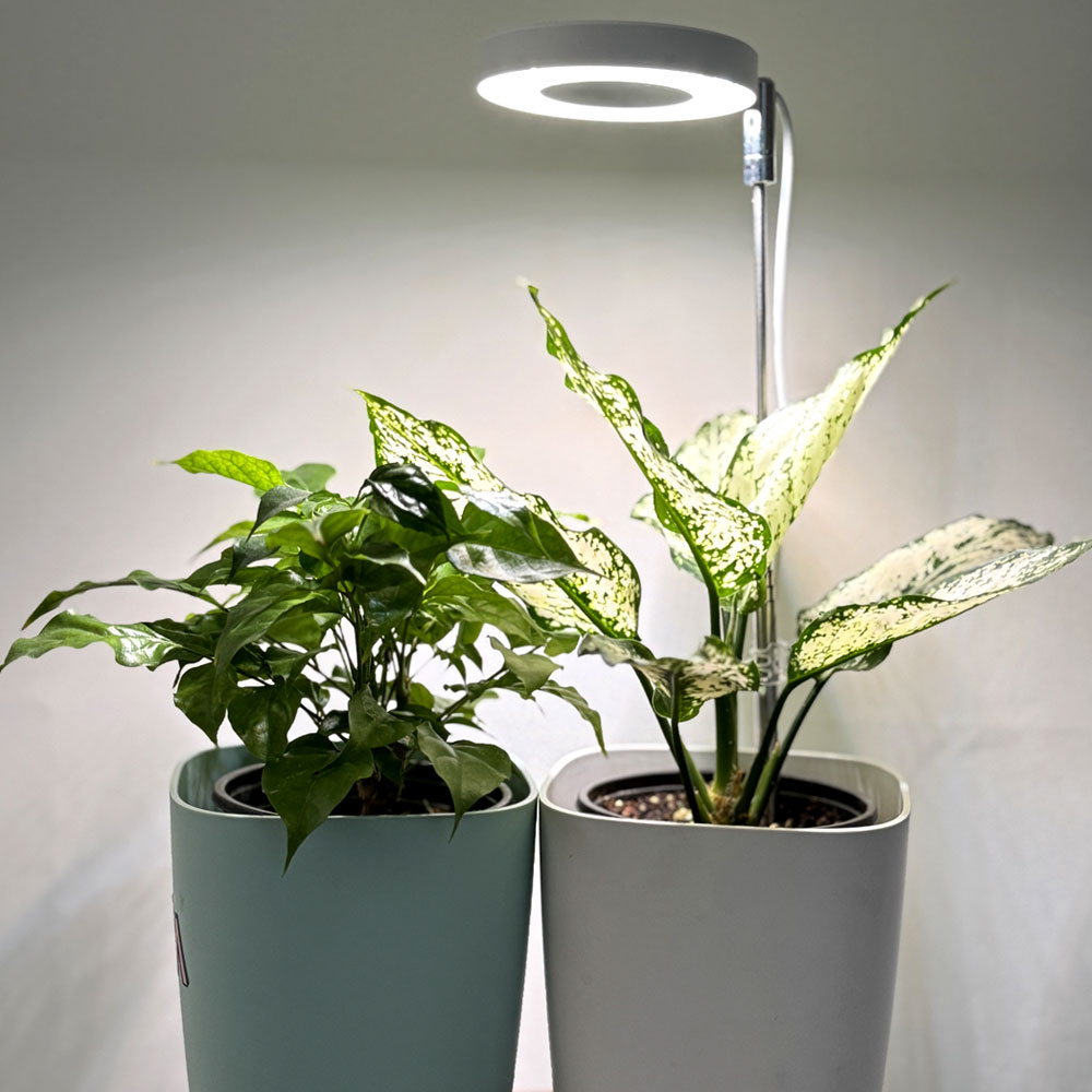 코아코아 LED 식물등 스탠드포함 10단계 혼합광 가성비 식물조명 13,110원