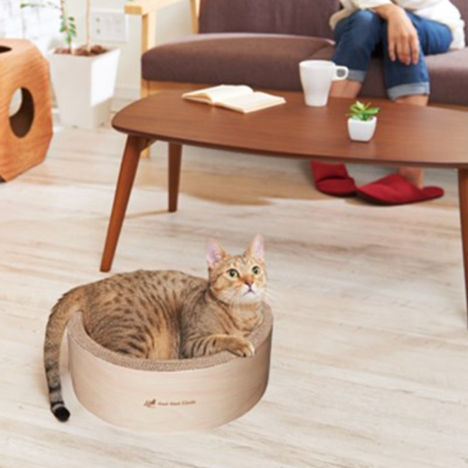 가리가리 라운지 써클형 스크레쳐, 아이보리, 1개 16,720원