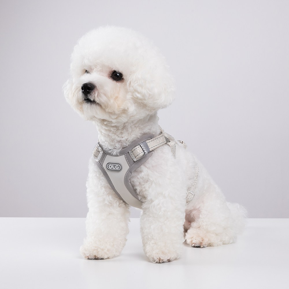 올지 세이프 하네스 단품 강아지 슬개골 관절보호 기도압박 없는, 1개, 라이트그레이 33,900원