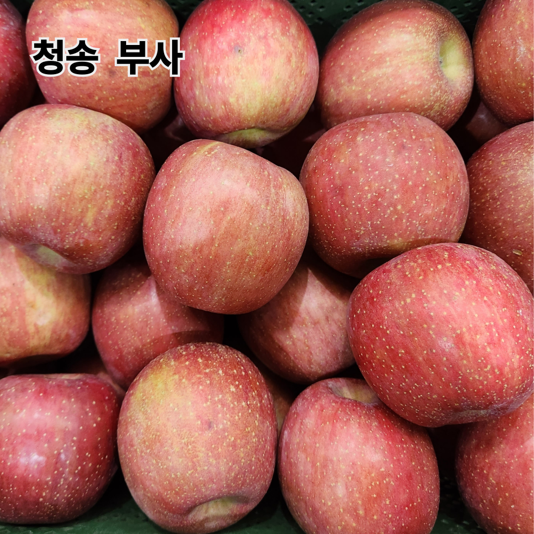 고당도 청송사과 단단한 부사사과 가정용 선물용, 1박스, 5kg 24,800원