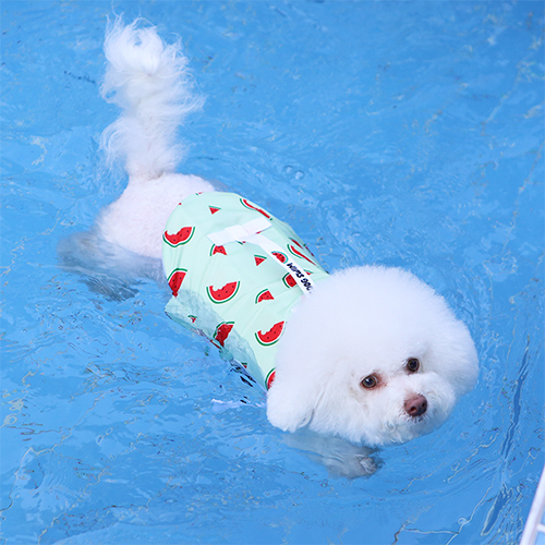 이츠독 후르츠 반려견 구명조끼 의류 22,030원