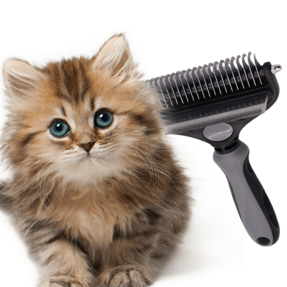 데이유즈 털갈이필수 죽은털제거 마사지빗 브러쉬, 1개, 그레이 20,000원