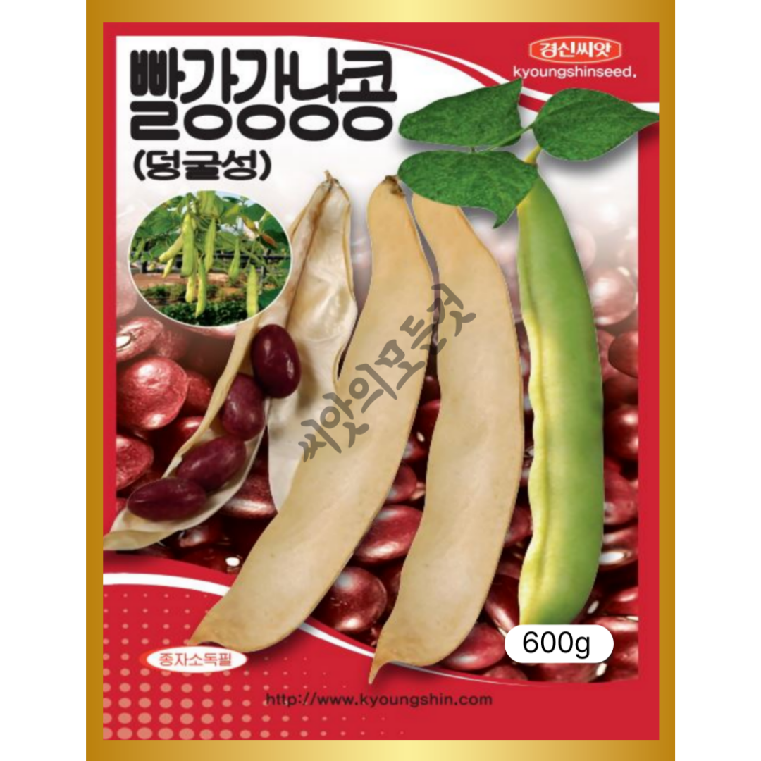 세인화분 덩굴성 빨강 강낭콩 30g - 씨 씨앗 콩씨앗 콩씨 40,000원