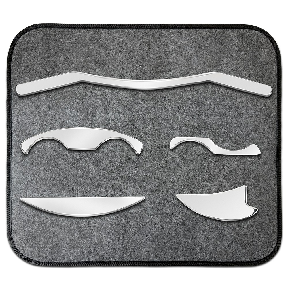 Holisttech 다기능 5in1 세트 스테인레스 스틸 근육 스크래핑 마사지 도구 세트 근육 이완, 혈액순환 개선, 경련 완화 전문, 실버, 1세트 58,000원