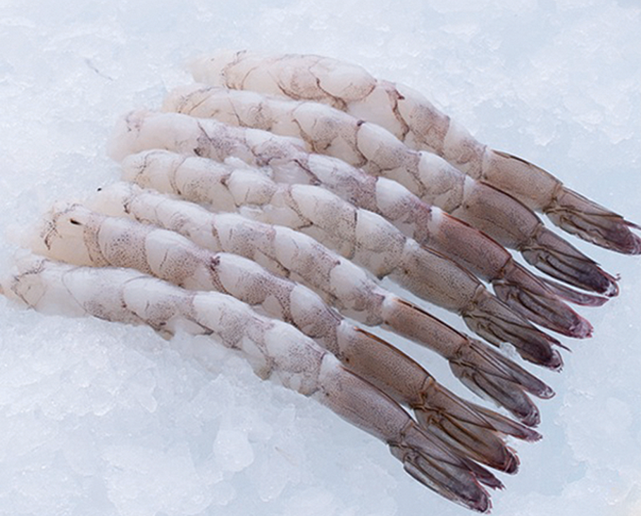 [씨기프트]노바시새우 40미 6kg (300g x 20개) 1박스 튀김용새우 손질 냉동 도매 119,000원