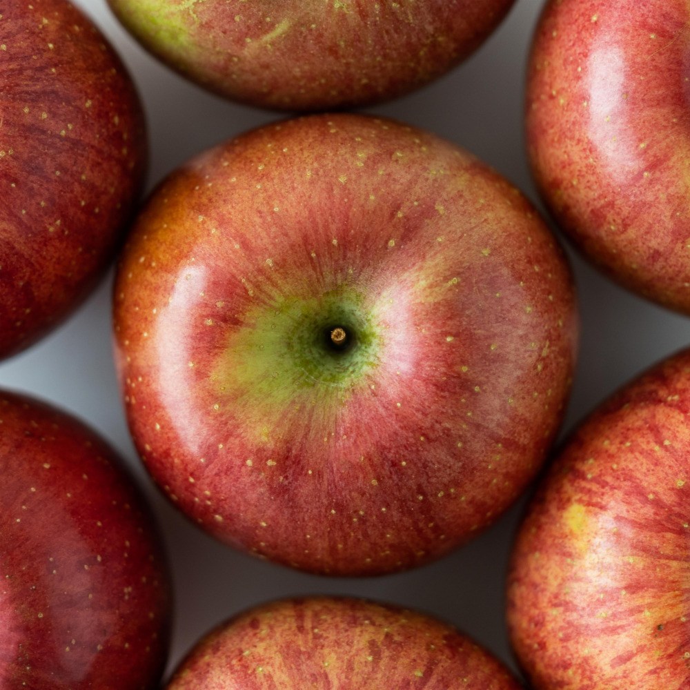 고당도 경북 달콤한 맛있는 빨간 사과 가정용 63,900원