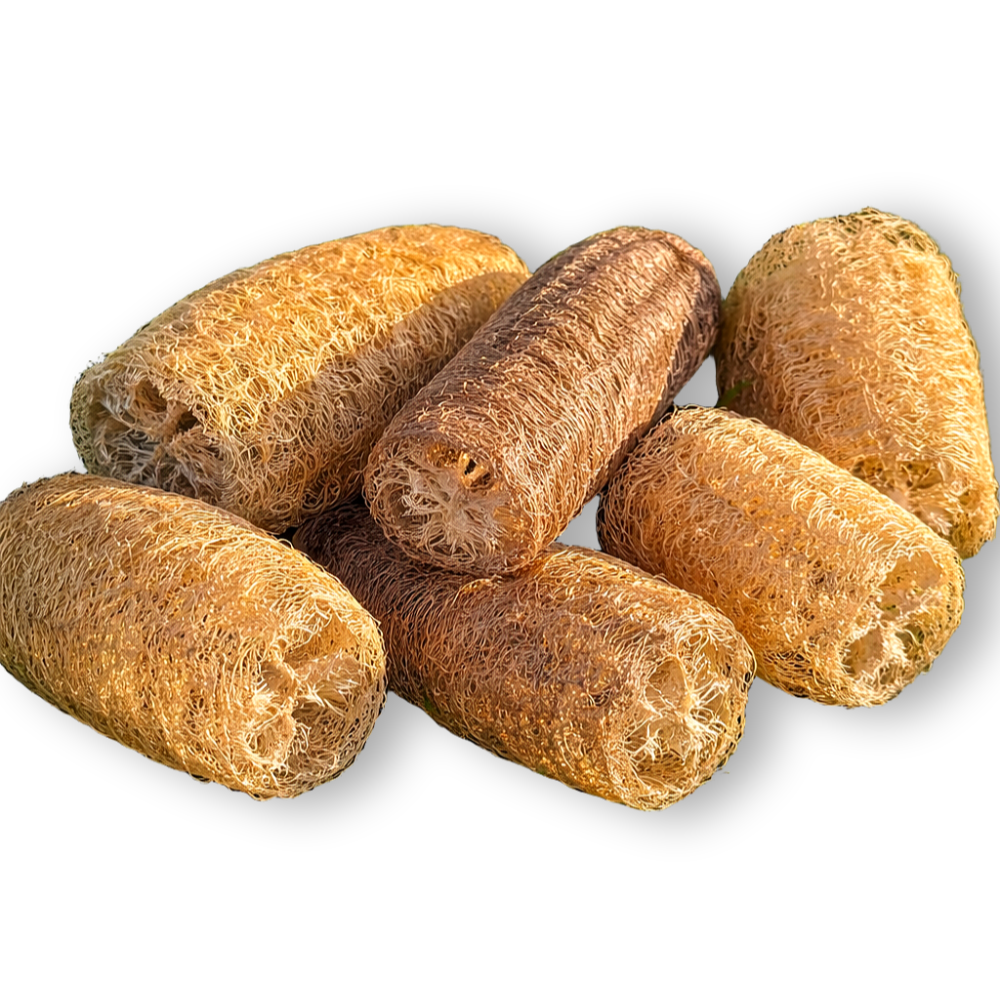 태평농원 국산 유기농 천연수세미 컷팅, 1개, 6개입 8,500원