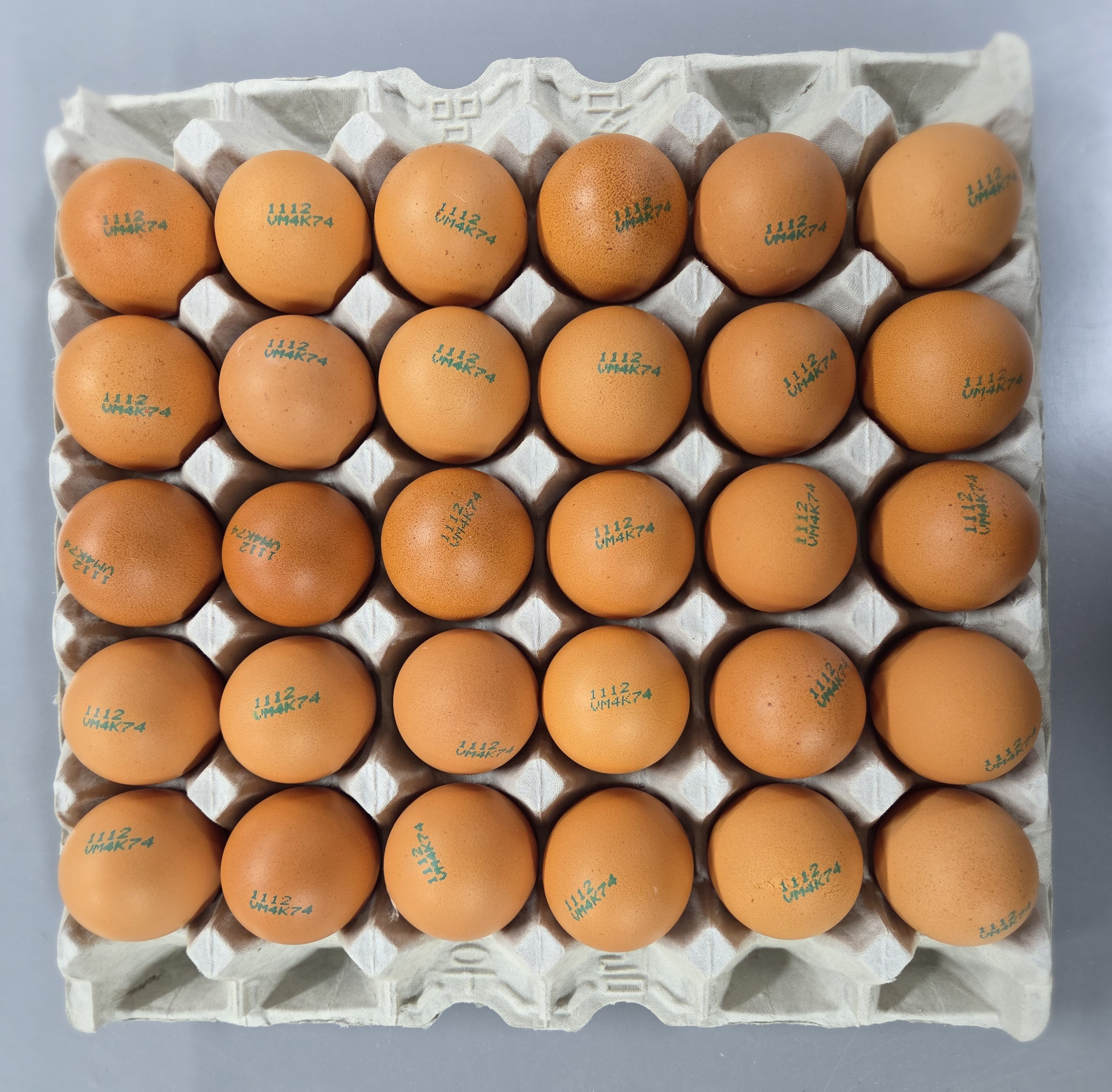 [알부자집] 무항생제계란 대란(52g~59g) 21,500원