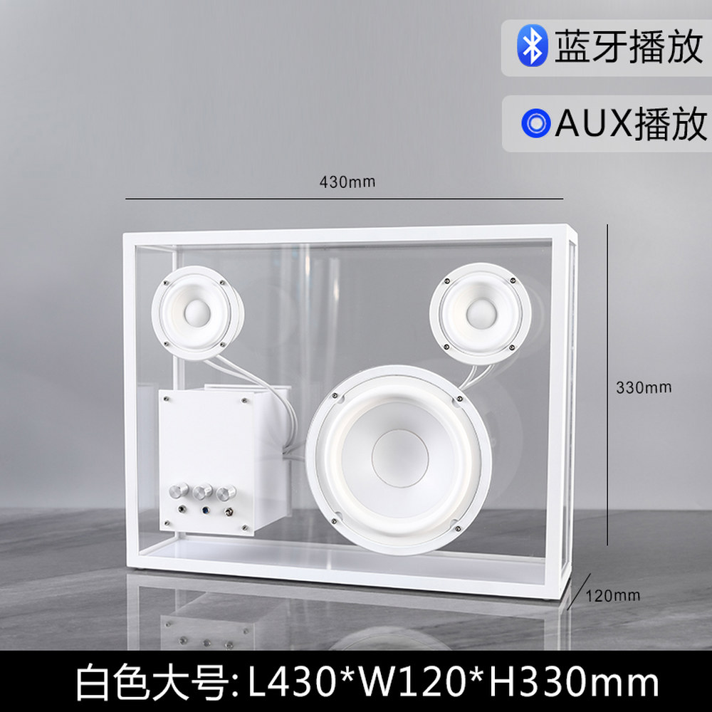 트렌스페어런트 페어런트 블루투스스피커 캠핑 카페 트랜스 조절 화이트 Transparent 343,900원