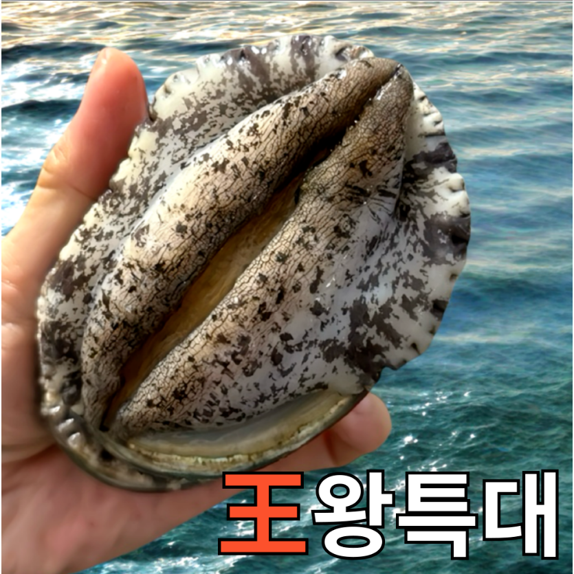[파도스토리] 완도전복 2kg 왕특대 직거래 산지직송 산소포장 선물 세트 68,800원