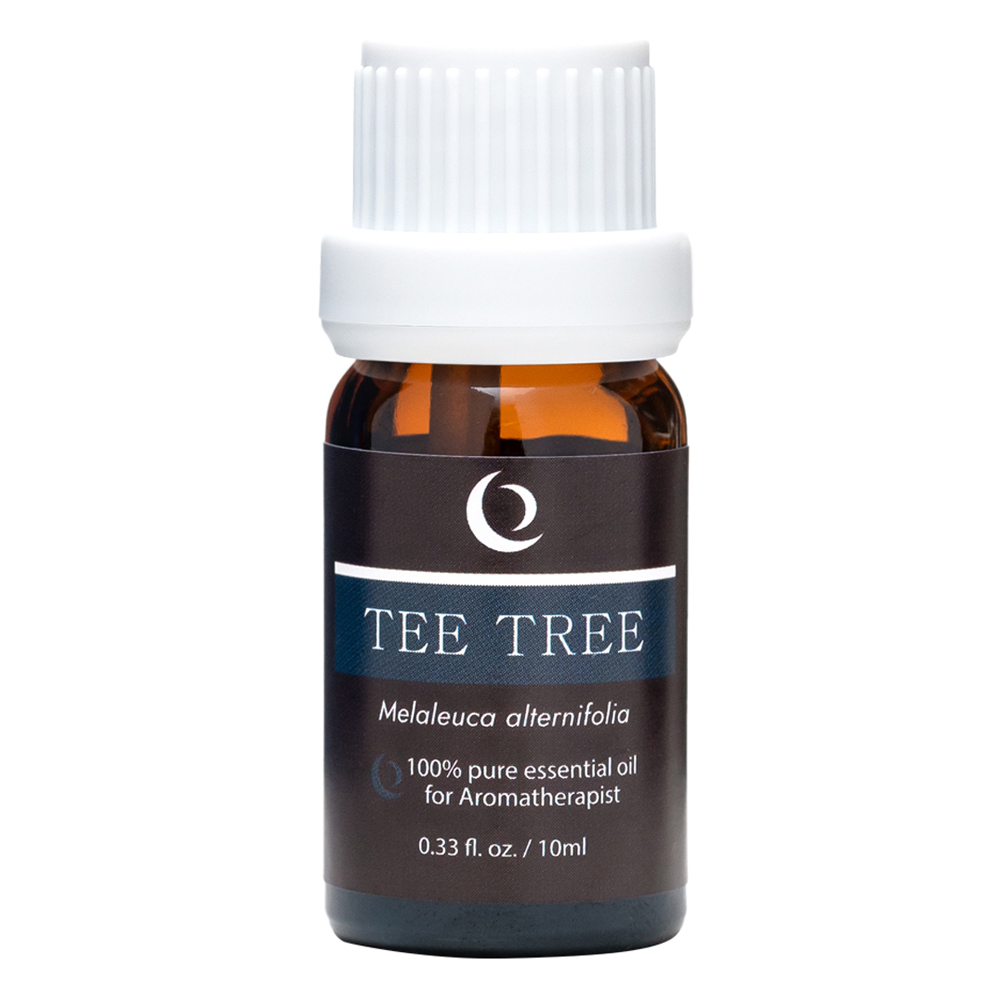 코리브 아로마 테라피 전문 에센셜 오일, 티트리, 10ml, 1개 7,500원