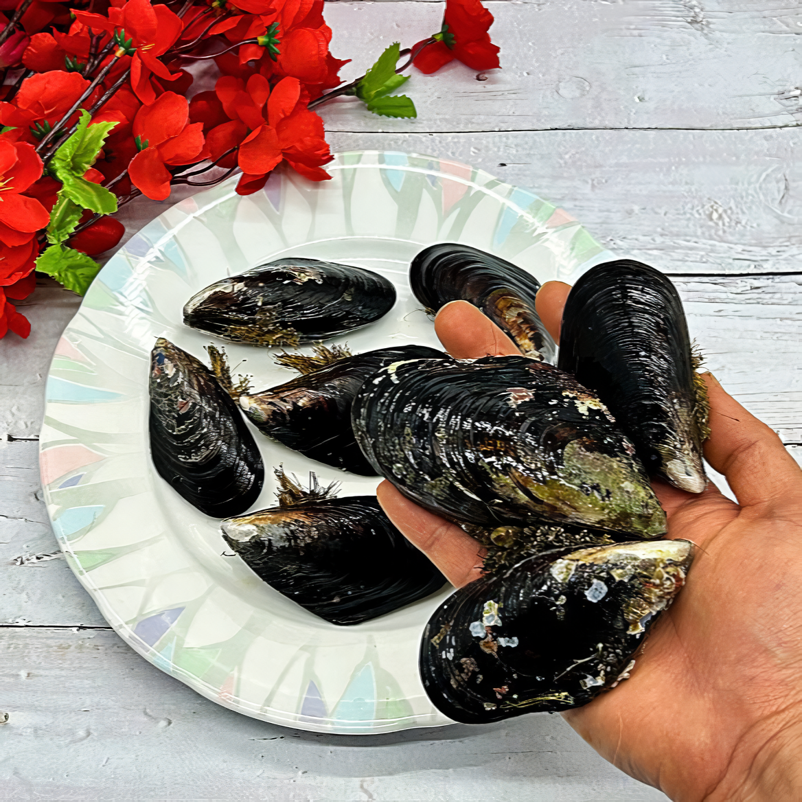 선주직송 자연산 홍합 담치 섭 37,900원